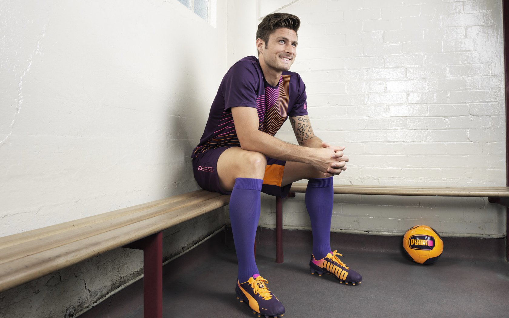 体育教师胜任力模型构建与测评系统设计，体育教师能力结构