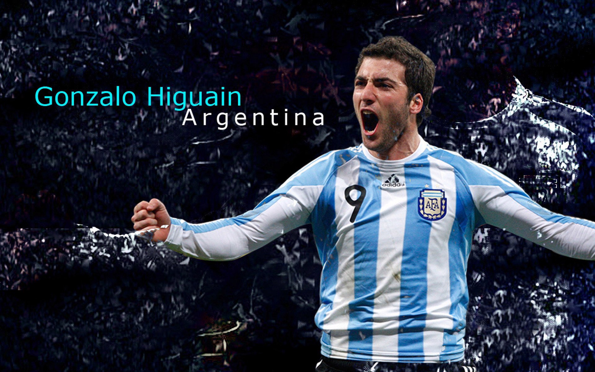 关键技术数据解析选手表现，关键技术分析怎么写